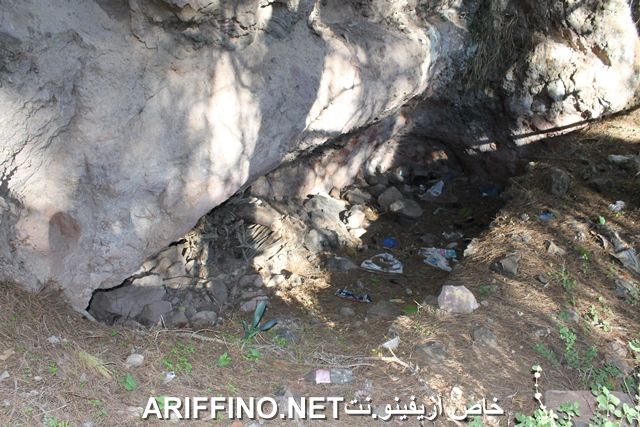 nador2218