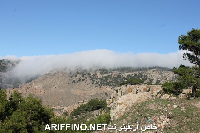 nador2220