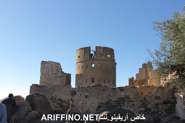 nador2221