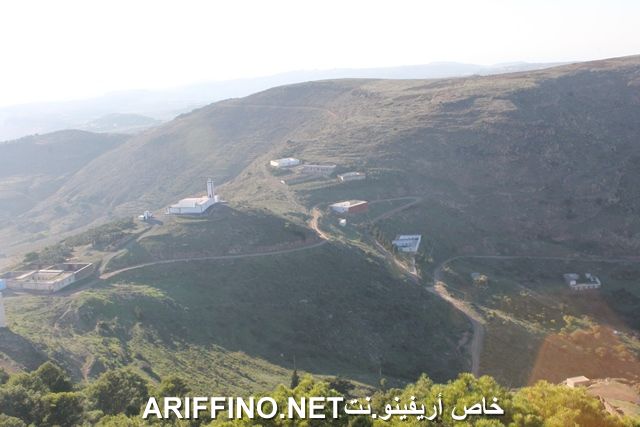 nador2229