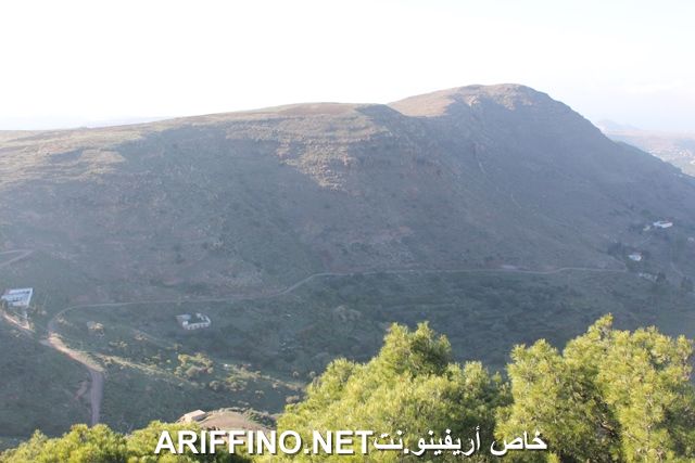 nador2230