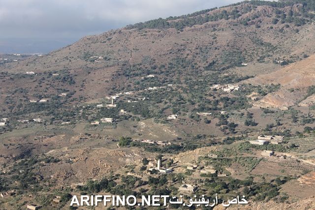 nador2231