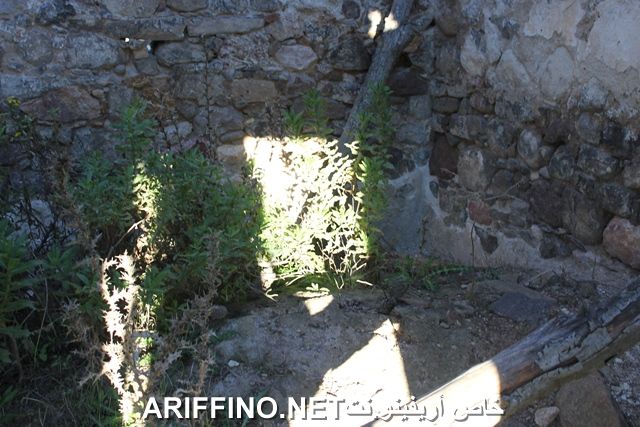 nador2232