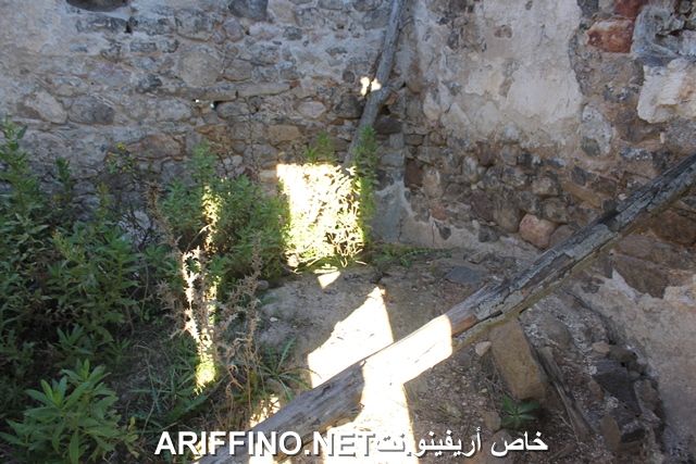 nador2233