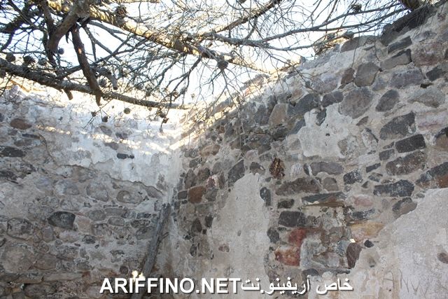 nador2234