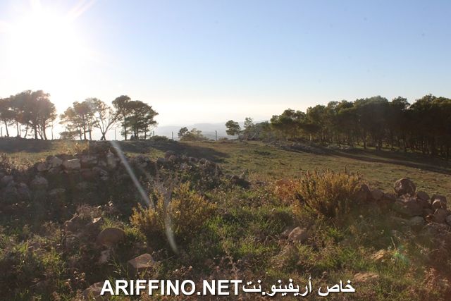 nador2237