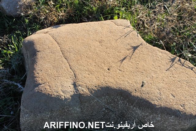 nador2238