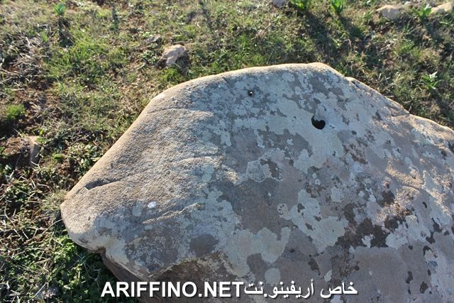 nador2239