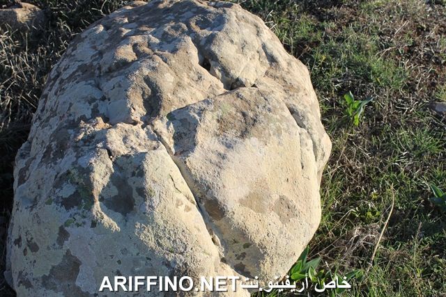 nador2240