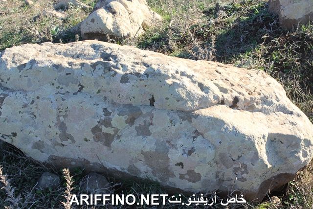 nador2241