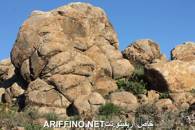 nador2242