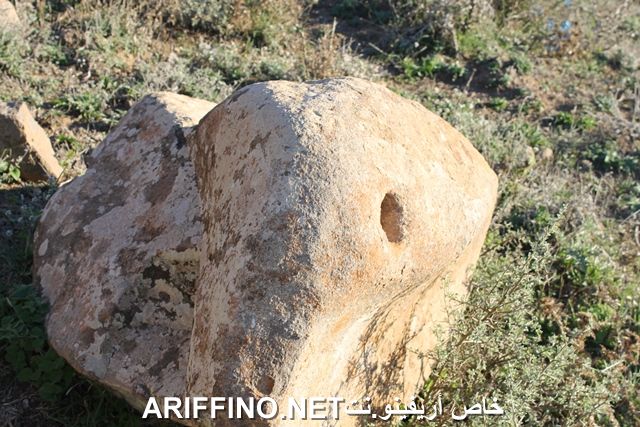 nador2243