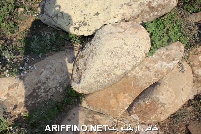 nador2244