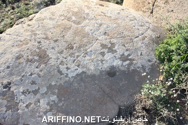 nador2245
