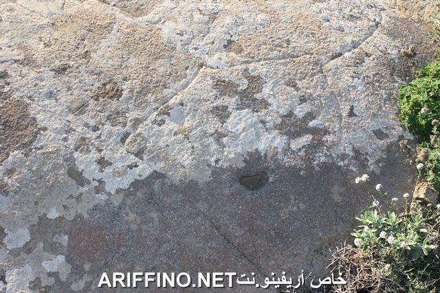 nador2246