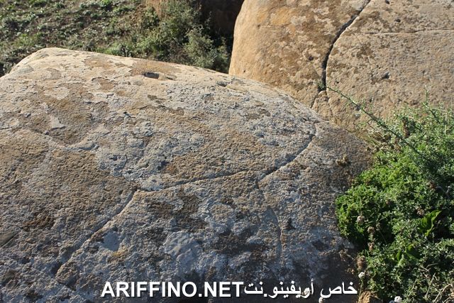 nador2247