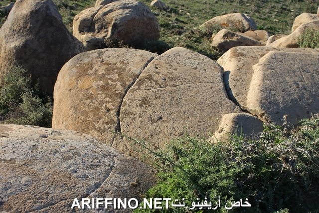 nador2248