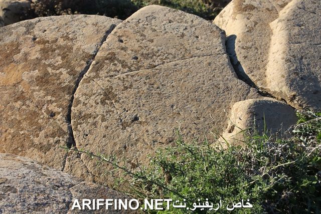 nador2249