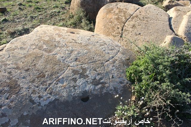 nador2250
