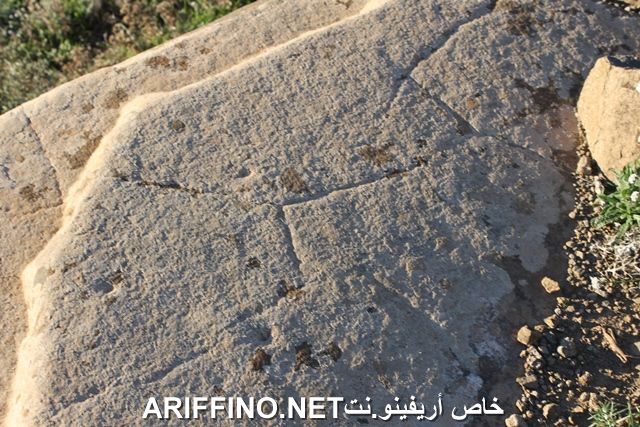 nador2251