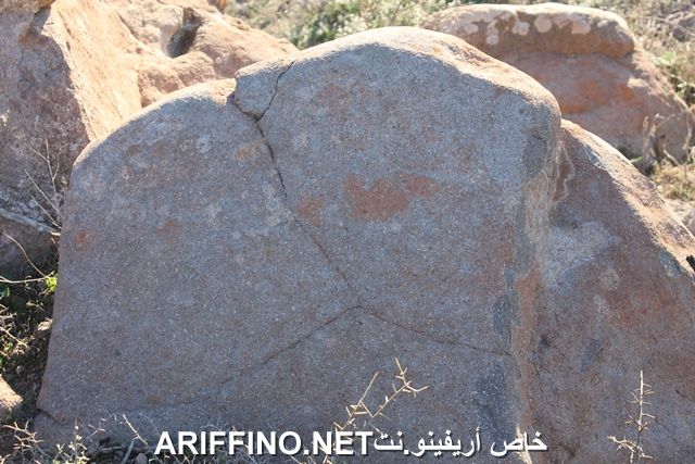nador2252