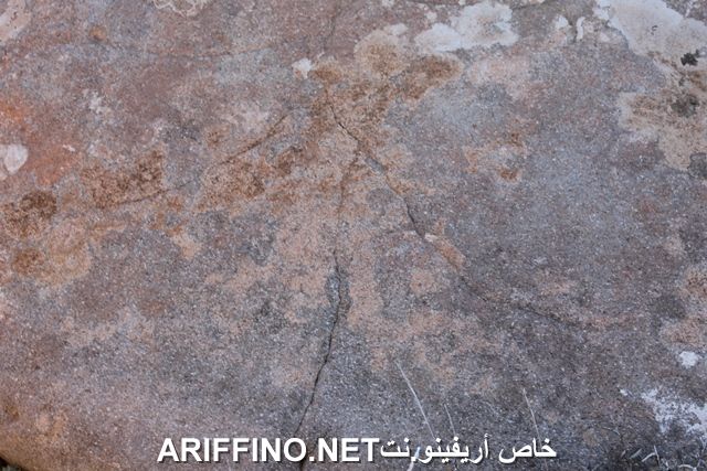 nador2253