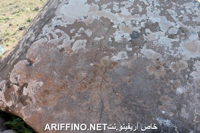 nador2254
