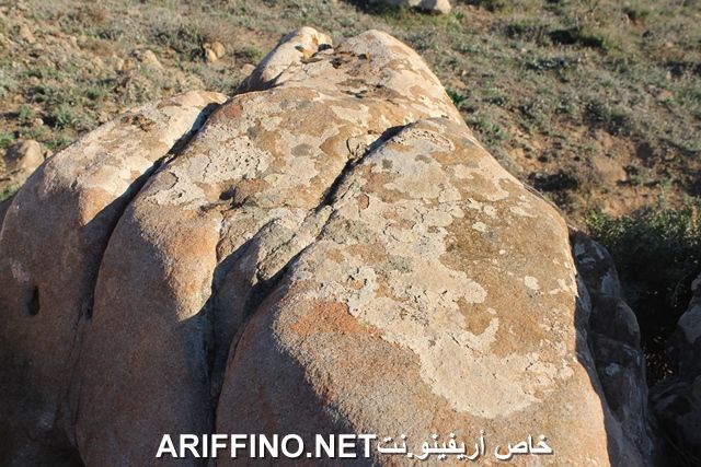 nador2255