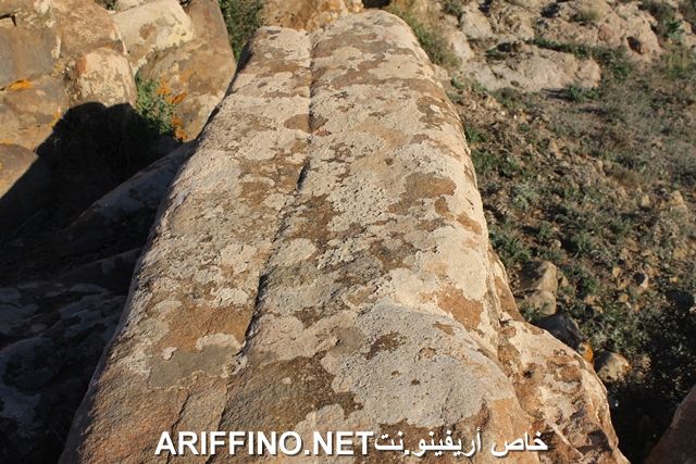 nador2256