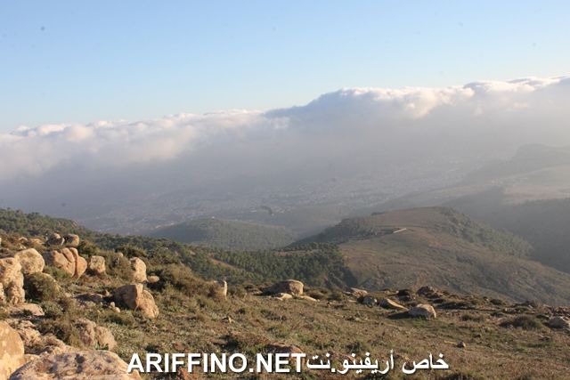 nador2257