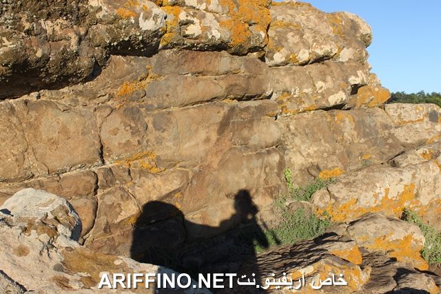 nador2258