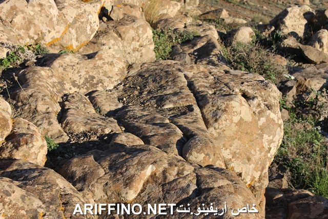 nador2259