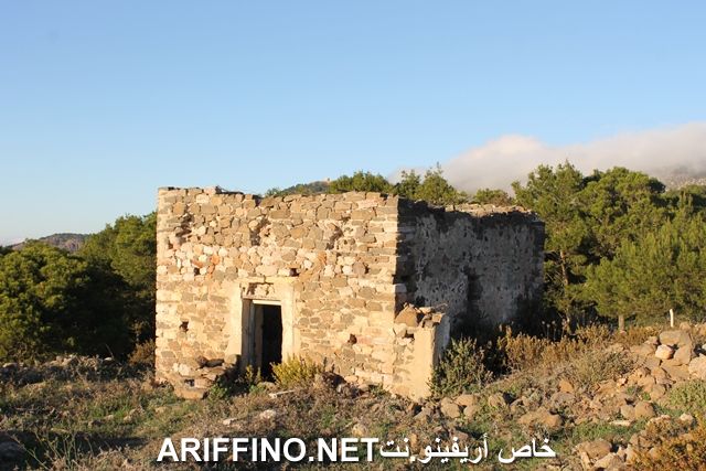 nador2261