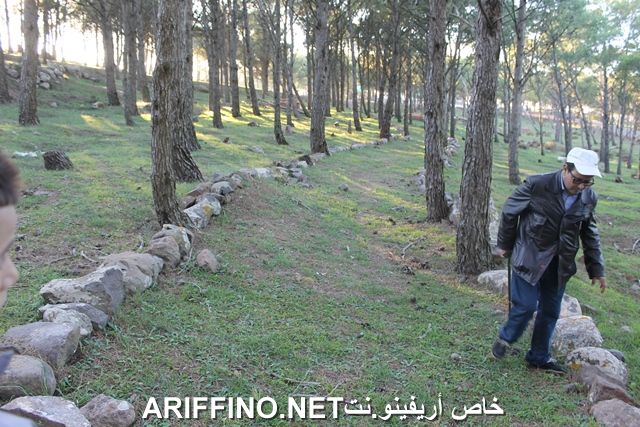 nador2262