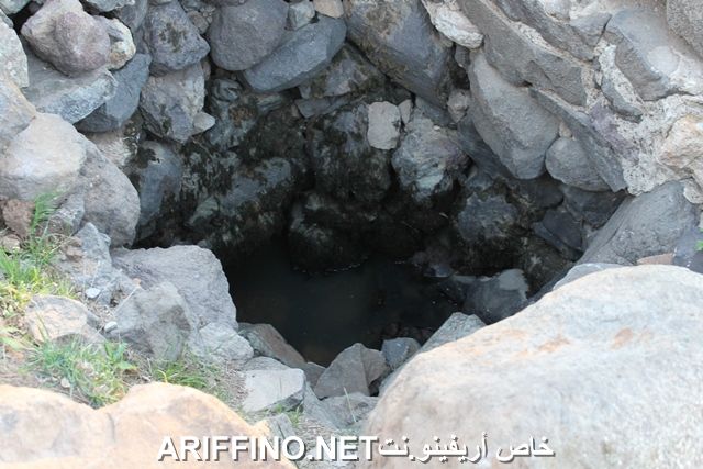 nador2263