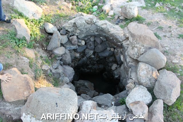 nador2264