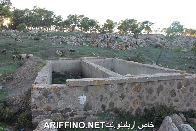 nador2265