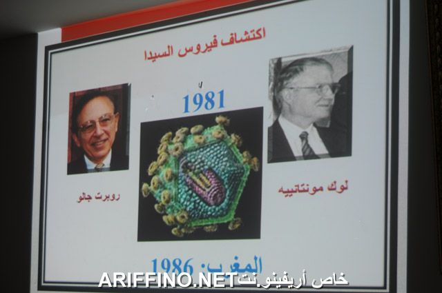 nador2324