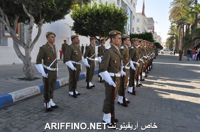 nador2337