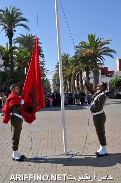nador2355