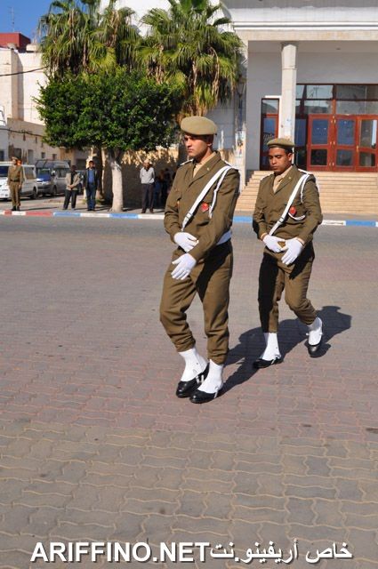 nador2358