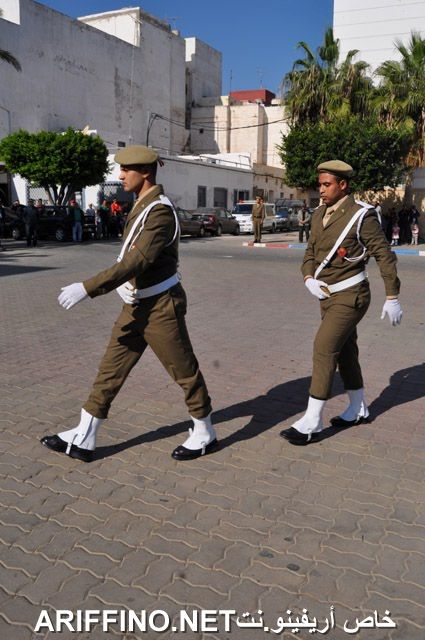 nador2360