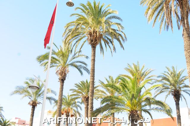 nador2381