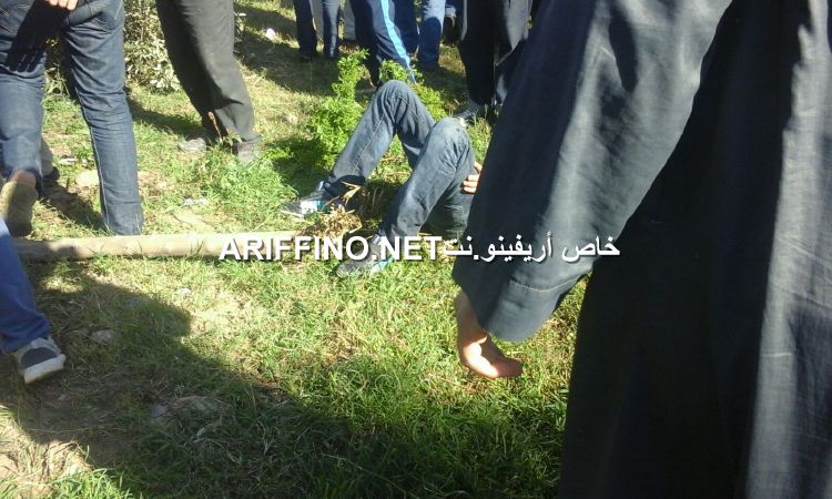 nador3362
