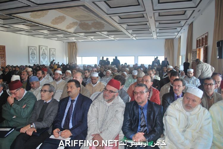 nador3431