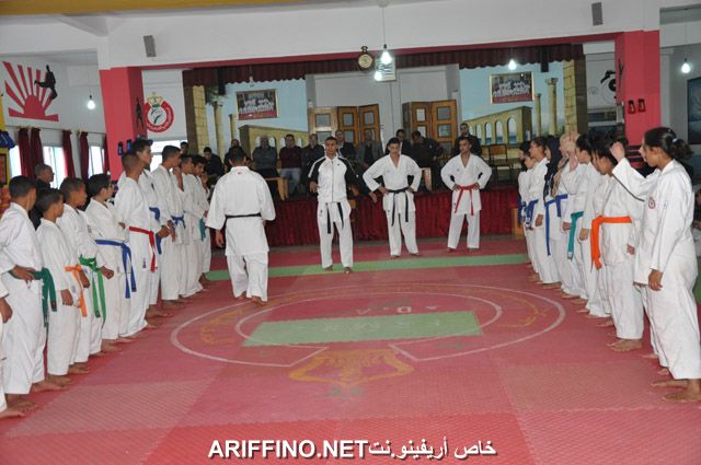 nador3637