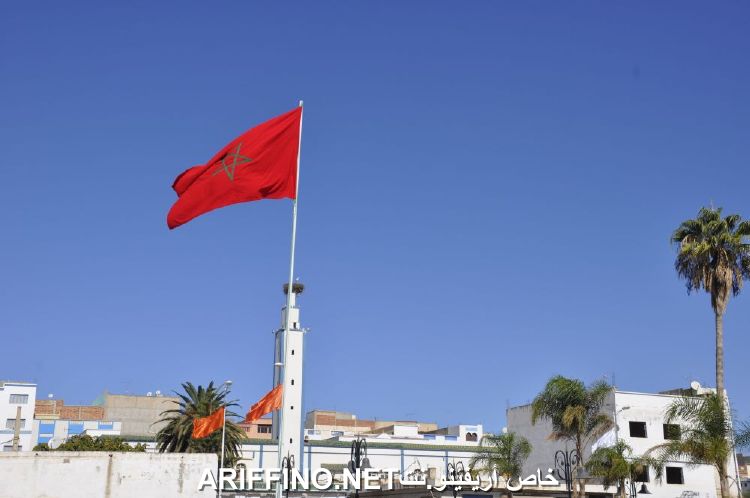 nador731