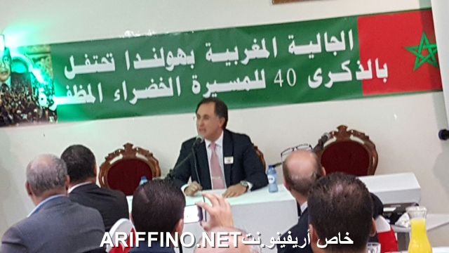 nador797