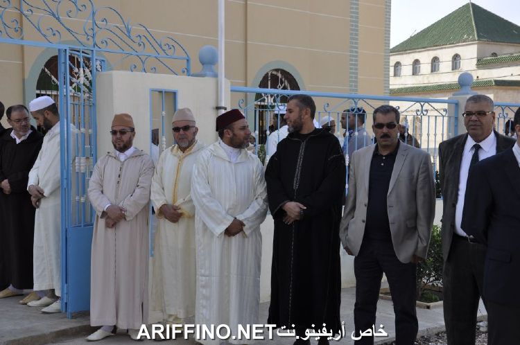 nador813