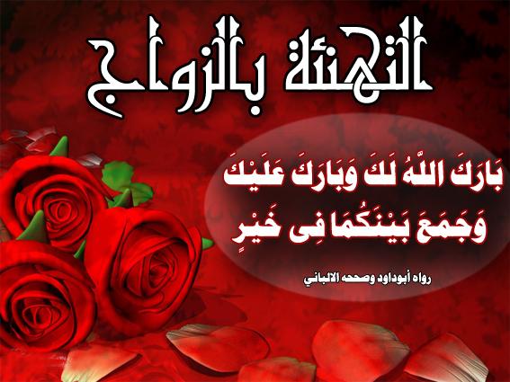 e080ef0db6a8e9936eed10ab3e41c9e9